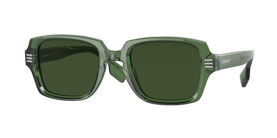משקפי שמש ברברי לגברים ELDON B 4349 ירוק מלבניות